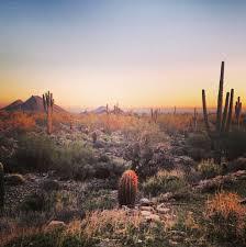 Lost Dog Wash Trailhead